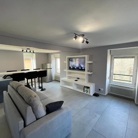 Appartement Familiale Premium : Proche Gare De Belfort Bagian luar foto