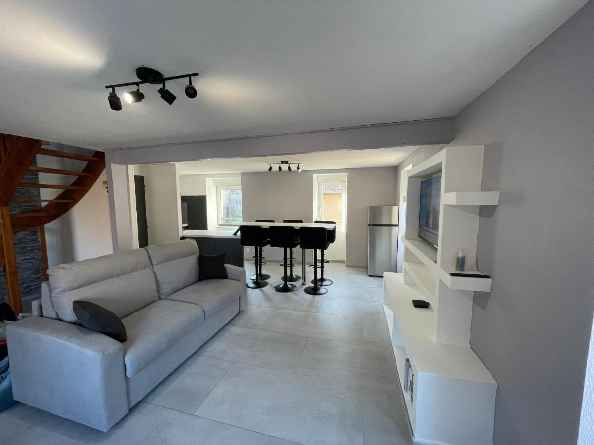 Appartement Familiale Premium : Proche Gare De Belfort Bagian luar foto